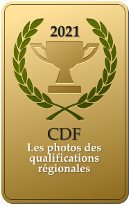 2021  CDF  Les photos des qualifications régionales
